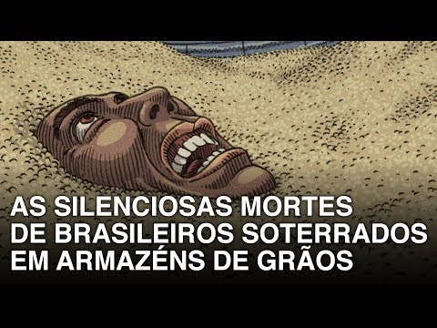 Vídeo: As pombas soltas morrem?