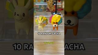 Hello Kitty, Mashle, Porcupines, Instruments And More