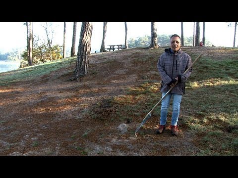 Video: Kan uitlaatlek een rijke toestand veroorzaken?