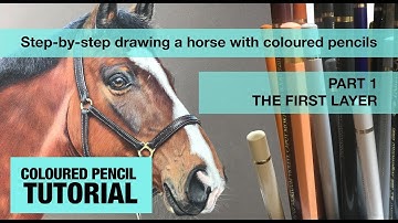 Drawing a horse with coloured pencils - Part 1