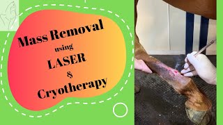 Mass Removal Using LASER & Cryotherapy: An Equine Case Study