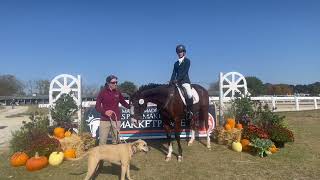 Final Episode!  Hobo the Hony's Road to the RRP Thoroughbred Makeover 2023