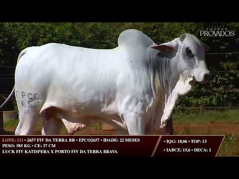 LOTE 111   EPCO 2657