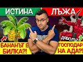 13 ПОПУЛЯРНИ ТВЪРДЕНИЯ - Истина или Лъжа? - Пробвайте се!