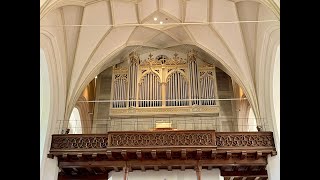 1. Internationales Oberland Orgelfestival 2024