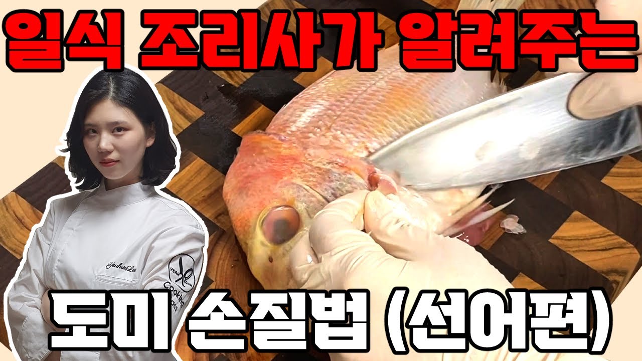 생선 손질 입문(선어편)/도미 쉽게 손질하기