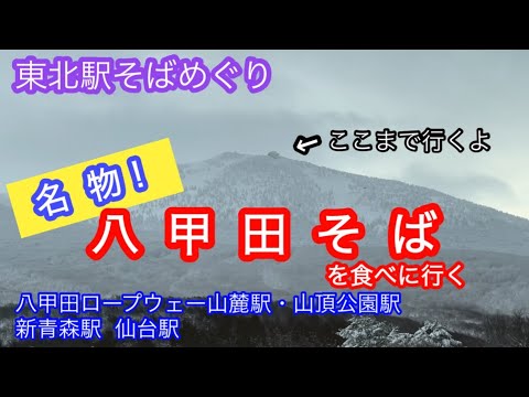 名物八甲田そばを食べに真冬の八甲田山へ行ってきたw 八甲田ロープウェー 山麓駅 山頂公園駅 青森駅 新青森駅 仙台駅 八甲田山菜そば ちくわ天そば レストハウス八甲田 立ちそば処杜 東北！駅そばめぐり