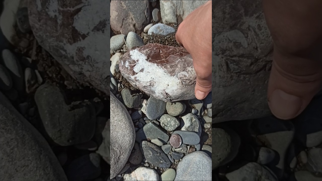 Сочинский кремень в известняке с кальцитными жилками