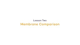Membrane Comparison | Equilibrating the Gel and Preparing for Transfer