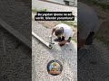 #ustaişi #inşaat #öneçıkar #alçı #tricks
