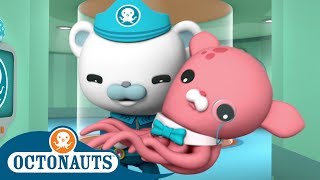 Octonauts - The Disease | Compilation | Cartoons for Kids