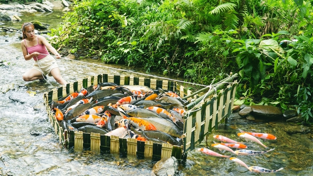 I Made A Simple Fish Trap Myself From Bamboo in The Small Stream ...