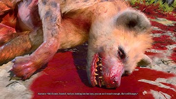 What Happens if Paladin Blesses Bloated Hyena | Baldur