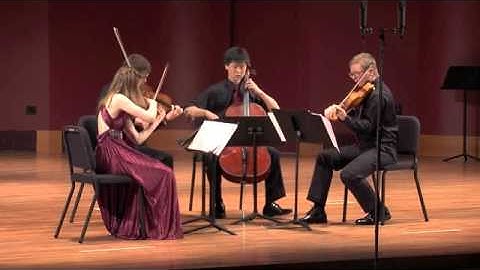 Bartók: String Quartet No. 4, Movement V