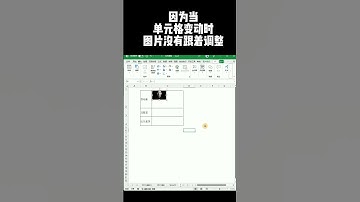 Excel单元格插入图片的正确方式 #excel #插入图片 #图片 #单元格插入图片