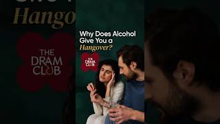 Pusing Akibat Alkohol - Mengapa Alkohol Menyebabkan Pusing? The Dram Club