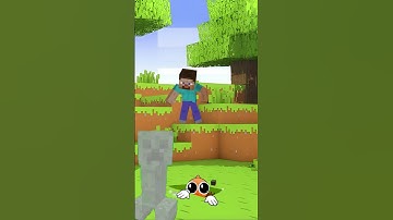 Le Poisson Steve! #lepoissonsteve #edit #foryou #cute #gaming #Minecraft #fortnite
