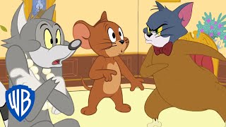 Tom & Jerry | Monkey Business 🙈 | WB Kids