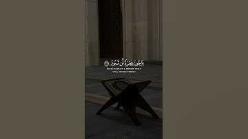 سورة فاطر #quran #قرآن