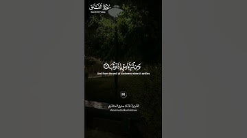 #سورة_الفلق ||حالات واتس قرآن ||القارئ#محمد_صديق_المنشاوي #تلاوة_هادئة#المصحف
