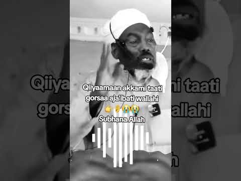 Shek Muusa Su Aala Waa E Guyyaa Qiyaama