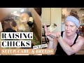BRINGING HOME CHICKS | Raising DAY-OLD Baby Chickens | Poultry Care For Beginners | 2021 Bird Haul