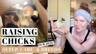 BRINGING HOME CHICKS | Raising DAY-OLD Baby Chickens | Poultry Care For Beginners | 2021 Bird Haul