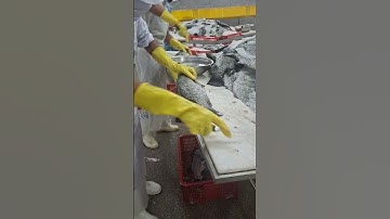 cách phile cá chẽm