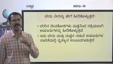 Samveda - 10th - Science - Jeeva Kriyegalu (Part 4 of 5) - Day 21