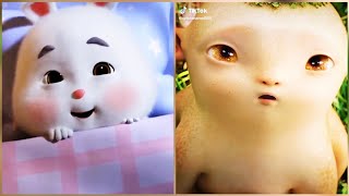 Tik tok compilation Super Cute Fat Rabbit | Si embul kelinci lucu bikin ngakak part.4