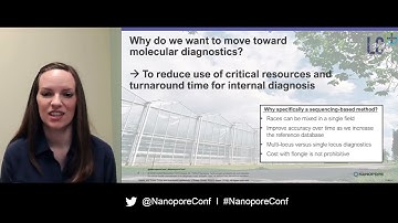 Abigail Stack: The POREtal to advancing plant diagnostics