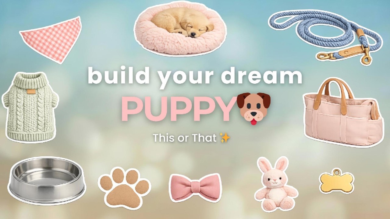 Build Your DREAM Puppy | THIS or THAT 🐶💗✨