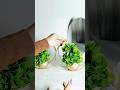 Minimalist Home Decor Unboxing | Budget-Friendly Fake Plants for Aesthetic Homes 🌿✨