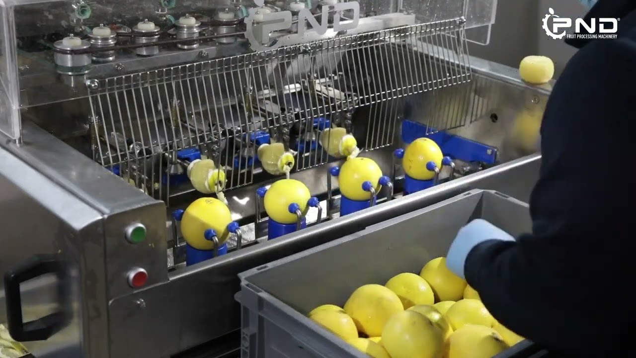 PND PL4AV Schilmachine - sinaasappel/citrusvrucht/kiwi