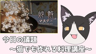 我、炒飯マスターなり【 炒飯マスター Vtuber すとれいにゃんこ】