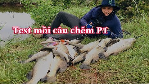Câu Cá Chẽm ,Cá Vược, Lure Cá Chẽm Bằng Mồi Giả.Test Mồi Câu Cá Chẽm Nhạy Nhất.Điểm Câu Nhạy Nhất p1