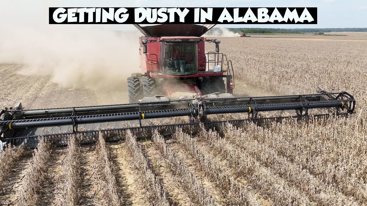 GREAT DAY WITH TRF CREW - YouTube