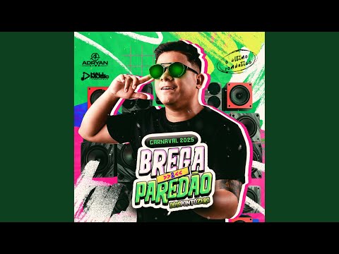 Vidinha de Balada