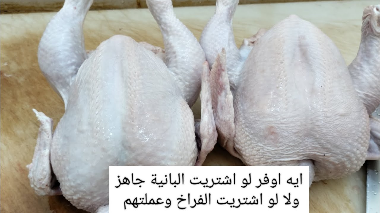 تعالي وانا اقولك ازاي توفر عند الفرارجي وازاي تكسب من الخلي لو انتي صاحب محل