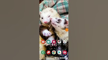 How to use du recorder