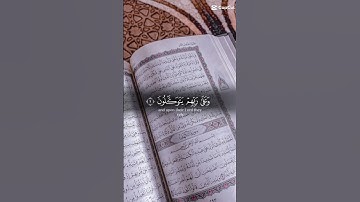 سورة المؤمنون من ٢ إلى ٣