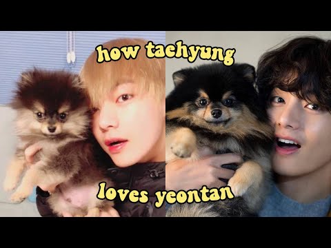 how yeontan grew up with taehyung