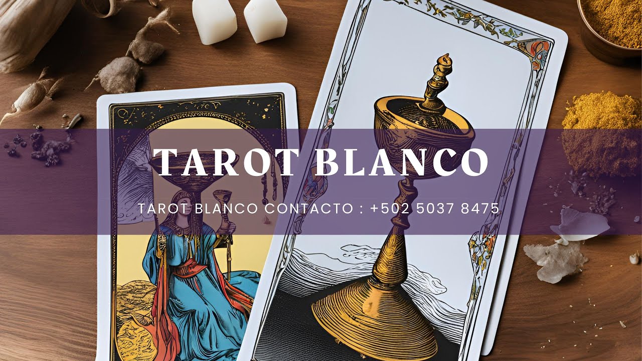 CONSULTA A LAS CARTAS DEL TAROT EN VIVO Y DIRECTO 🌟🌿🌀 TAROT BLANCO y ...