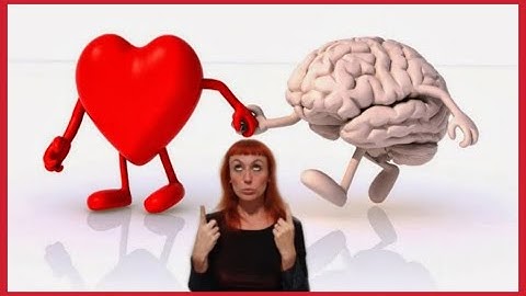 What´s the difference between IQ and EQ ?