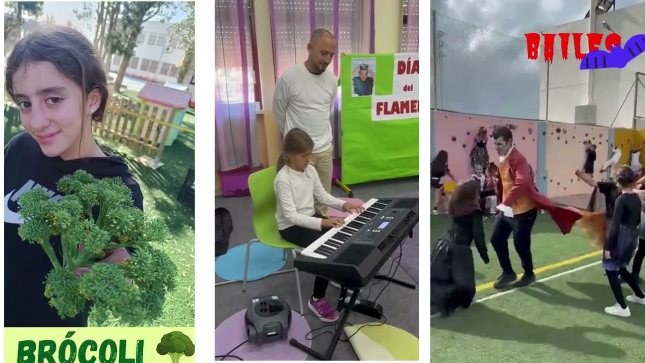 Video Resumen de actividades del centro