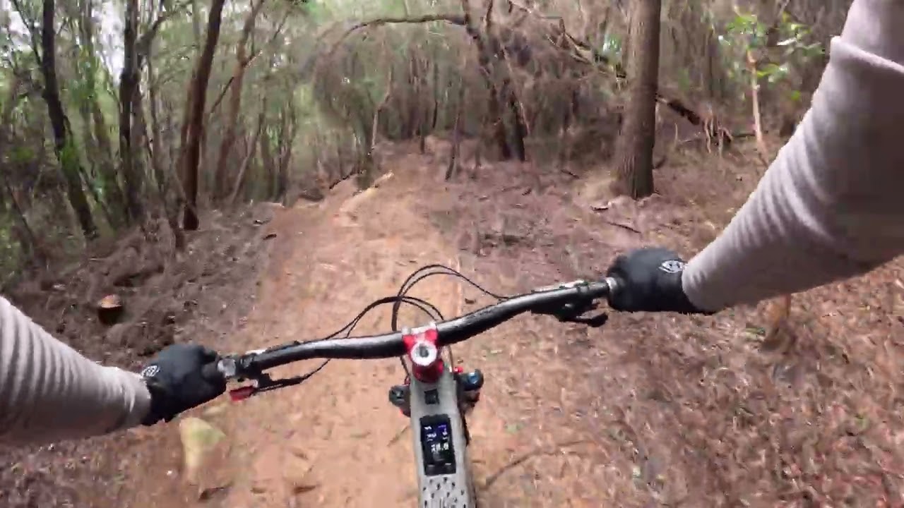 A Serra de Sintra Depois das Tempestades | Trilhos Abertos... Ainda Sei Andar de Bicicleta? 🌧️🚵🏼‍♂️