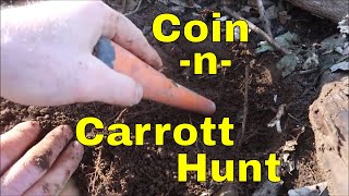 Colonial Copper Coin And Garrett Carrott Detecting