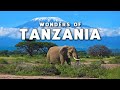 Tanzania Safari Adventure | Serengeti &amp; Zanzibar Escape