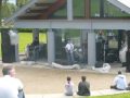 Capture de la vidéo Greenspace: Live Music In Baxter Park Dundee: Millsyeck