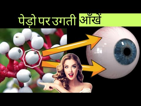 13 अजीबोगरीब पेड़-पौधे जिसे देखकर वैज्ञानिक भी है हैरान |Amazing facts|13 Strange Plant|Facts Academy